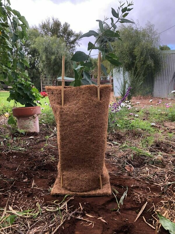 Tree Guards - Large