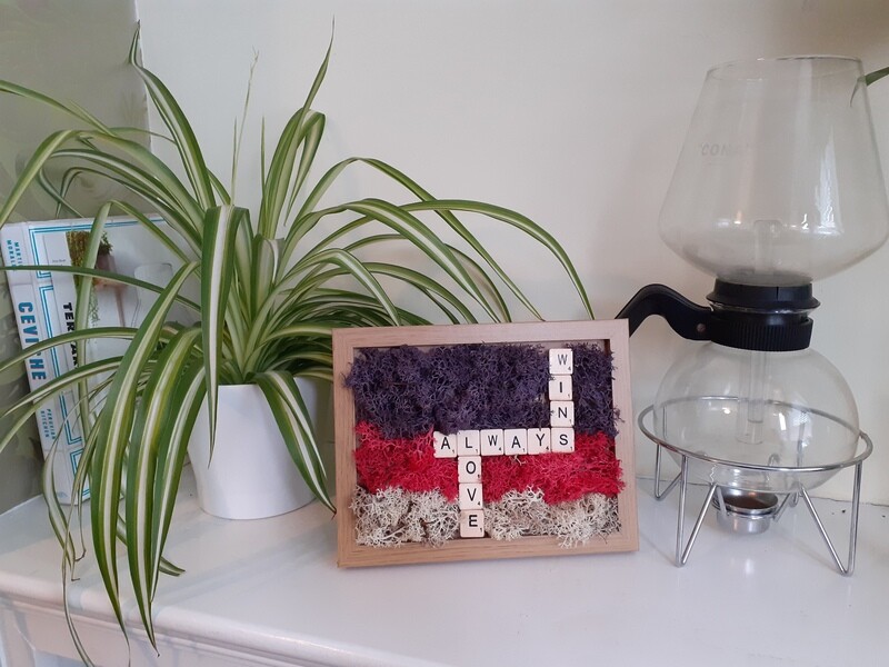 Love Always Wins Preserved Moss Frame