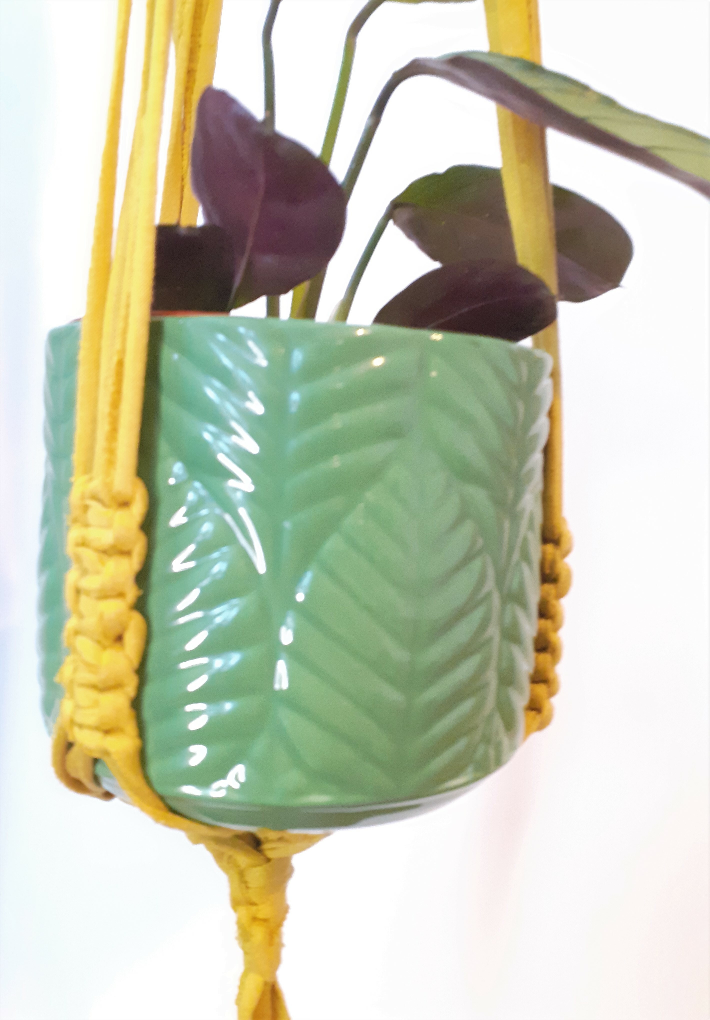 Yellow Macrame Plant Holder