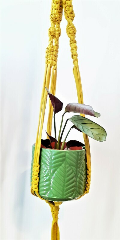 Yellow Macrame Plant Holder