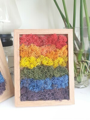 Rainbow Moss Frame - thin frame