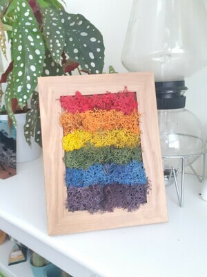 Rainbow Moss Frame - thick frame