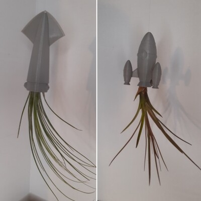 Rocket or Squid 3D printed airplant support