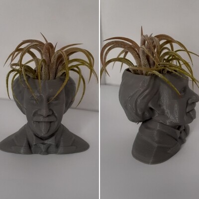 Einstein 3D printed airplant support