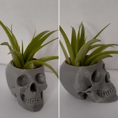 Skull 3D printed airplant support