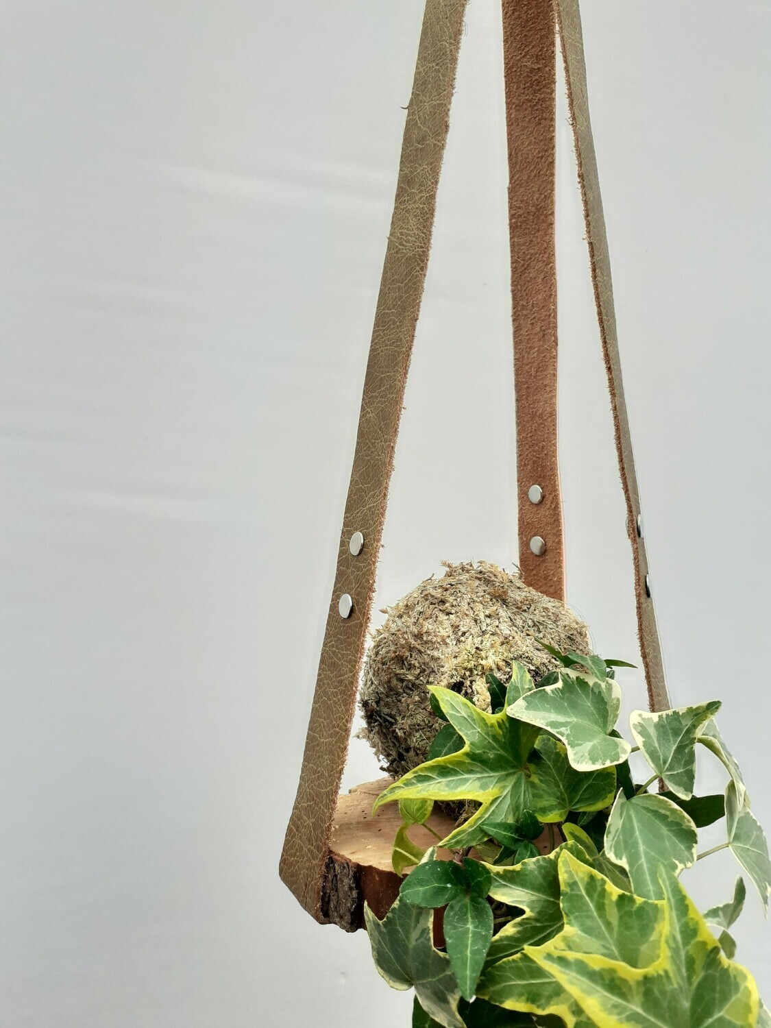 Small Leather Plant holder