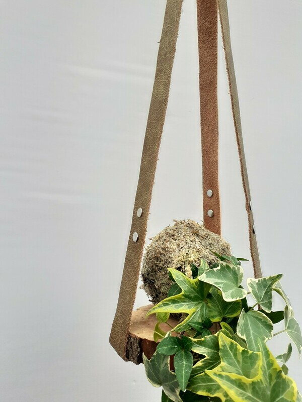 Small Leather Plant holder