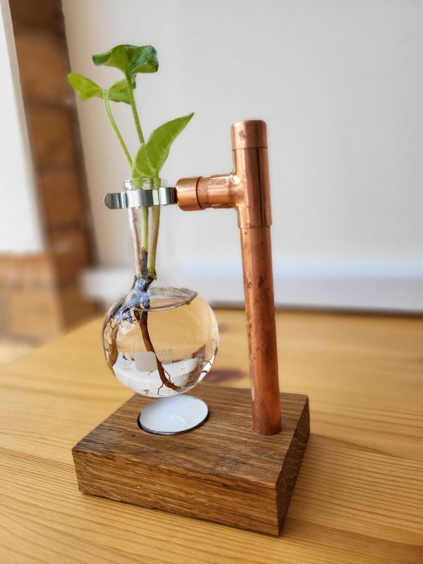 Oil Burner OR Propagation Station