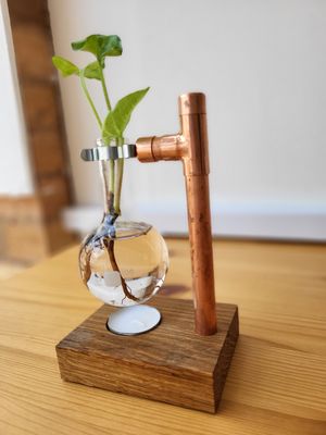 Oil Burner OR Propagation Station