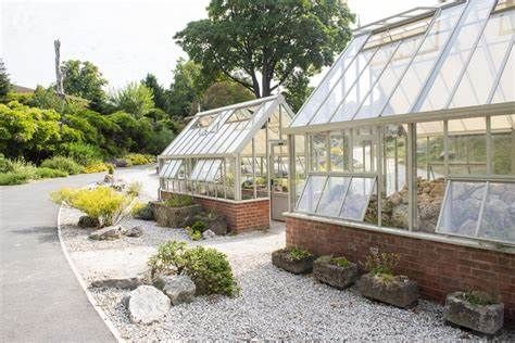 Tropical Terrarium Workshop / Birmingham Botanical Gardens / Sept Sunday 14th session 2