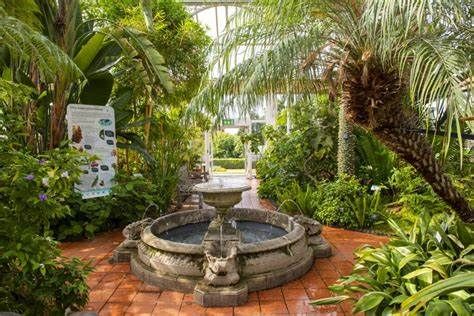 Tropical Terrarium Workshop / Birmingham Botanical Gardens / May Sat 31st session 1