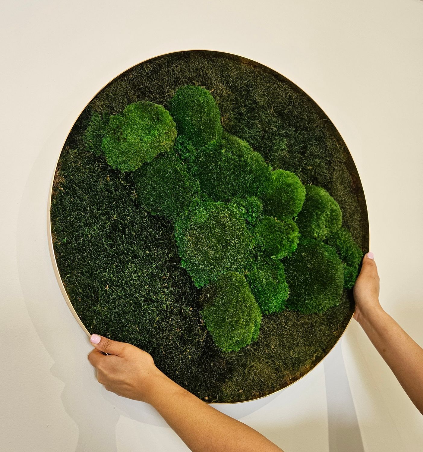Circular Moss Wall Art