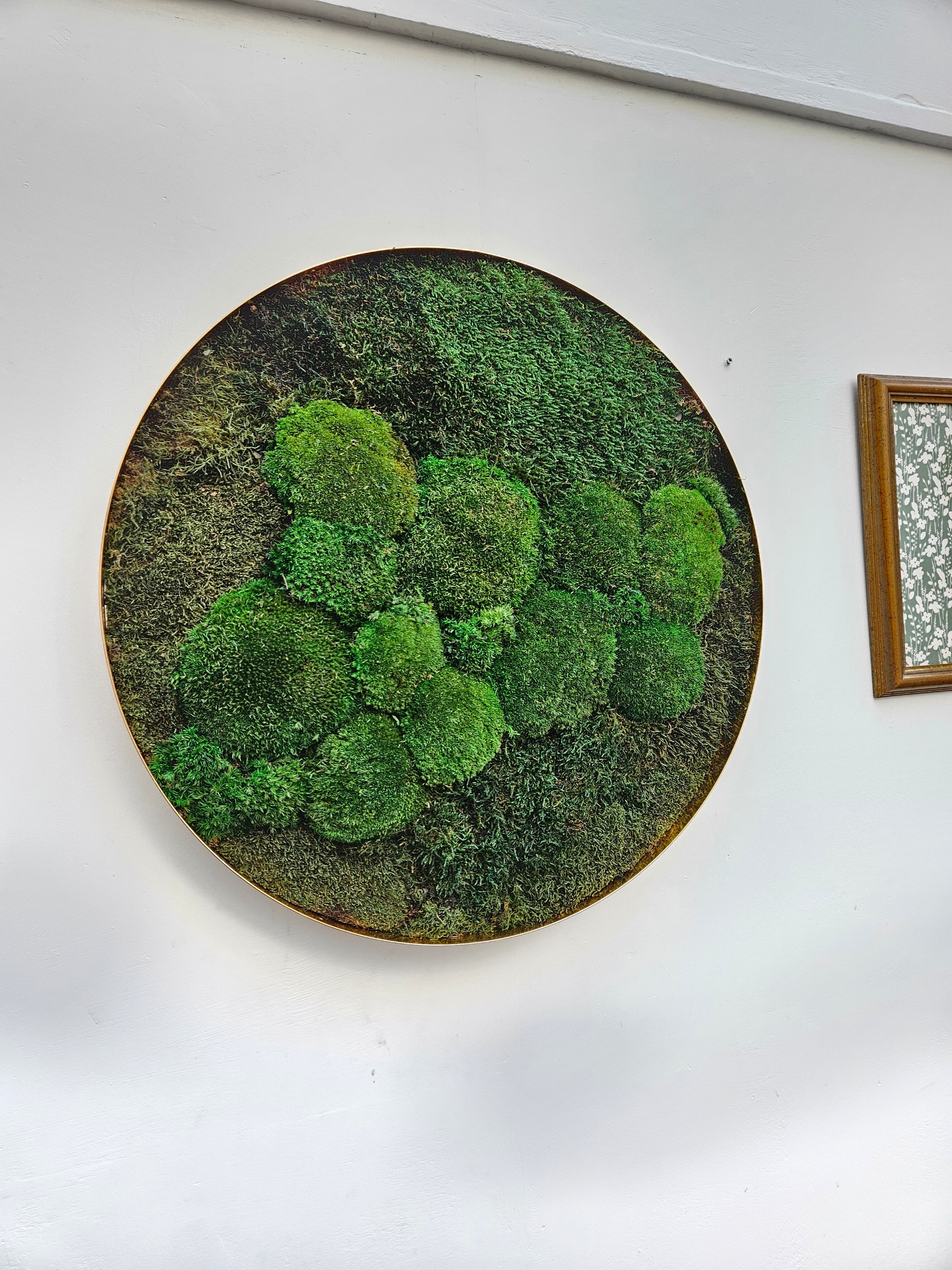 Circular Moss Wall Art