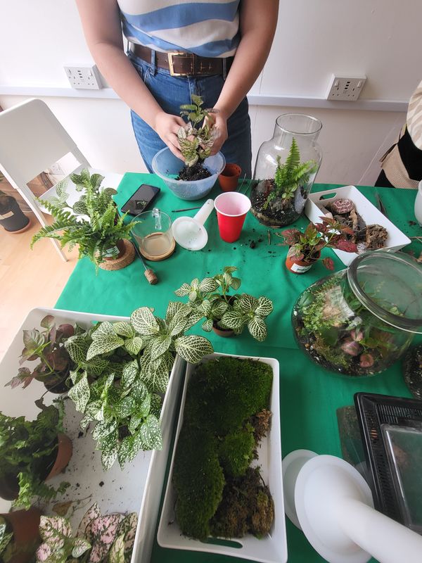 Tropical Terrarium Workshop / October Sunday 26th 2025 / Worcester