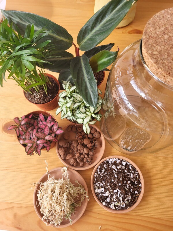 Terrarium Workshop "1 to 1"