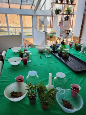 Tropical Terrarium Workshop / January Saturday 31st 2026 / Worcester