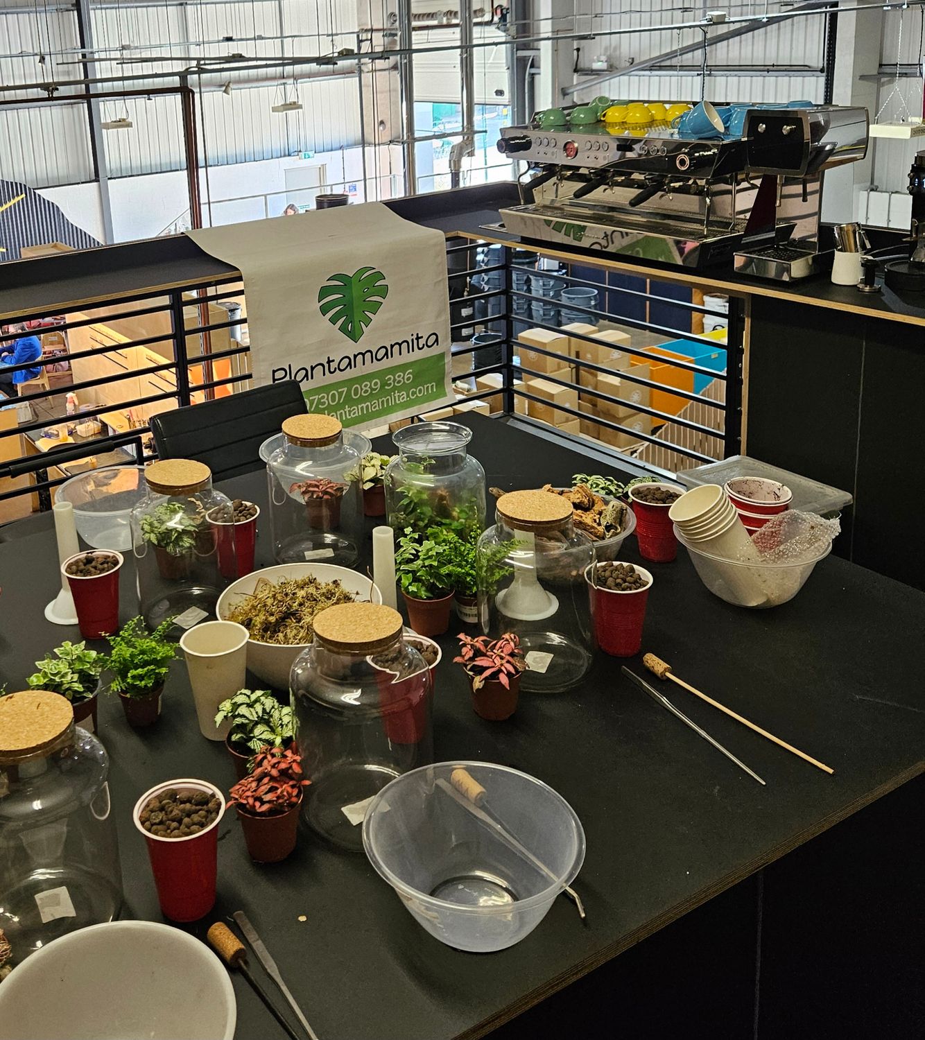 Tropical Terrarium Workshop / June Sunday 28th 2026 / Cheltenham