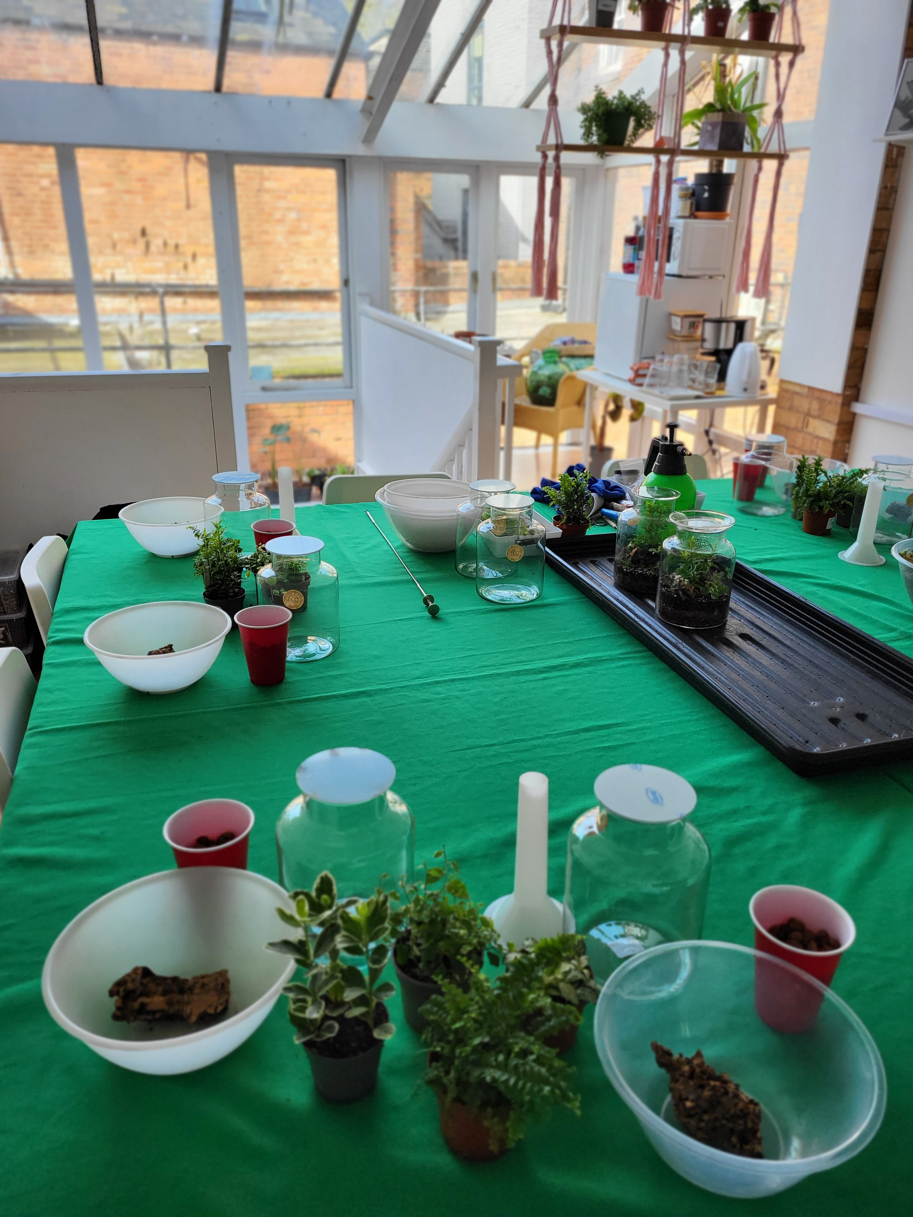 Tropical Terrarium Workshop / November Sunday 8th 2026 / Worcester