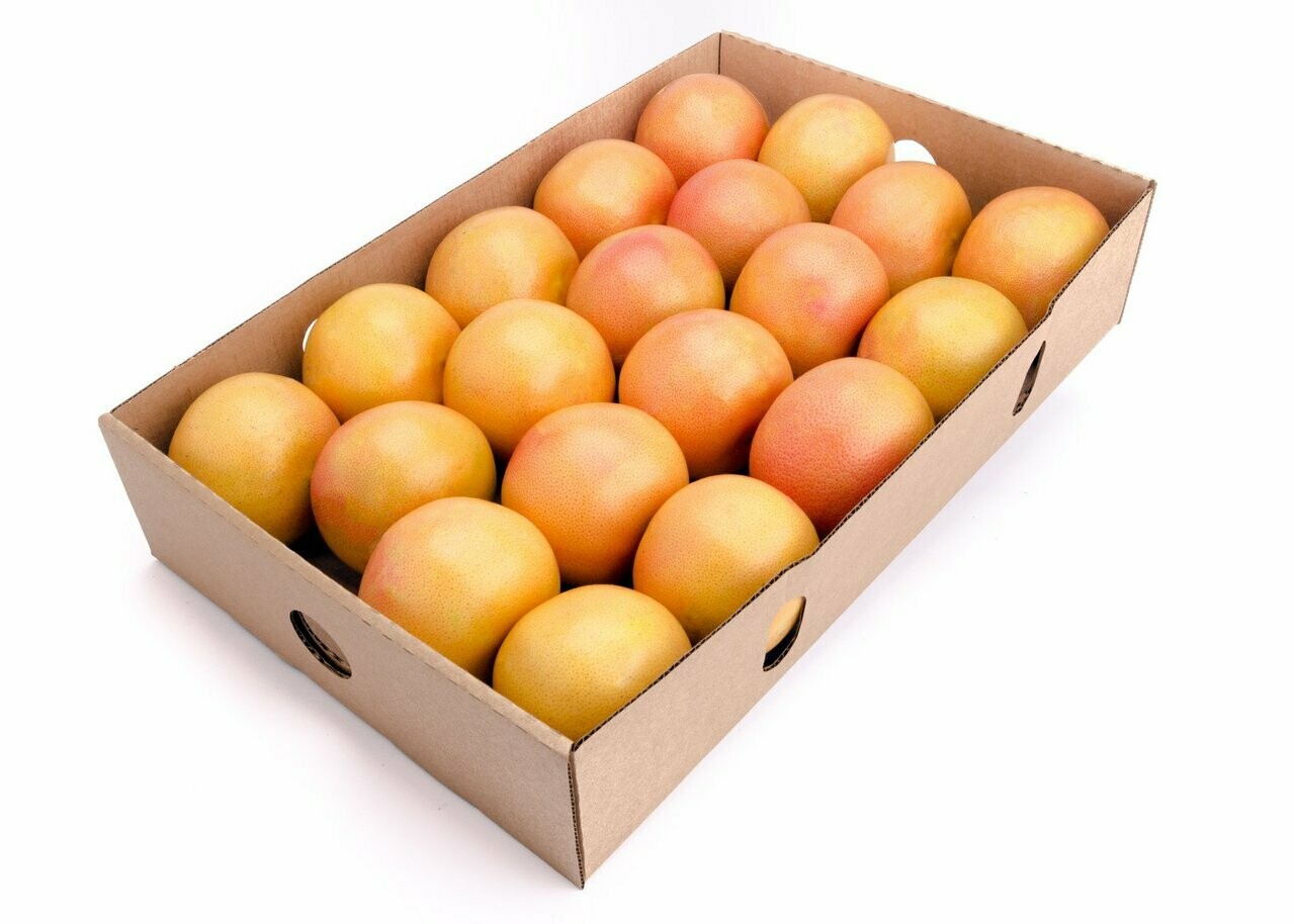 Grapefruit