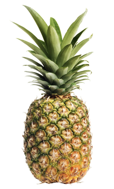 Pineapple