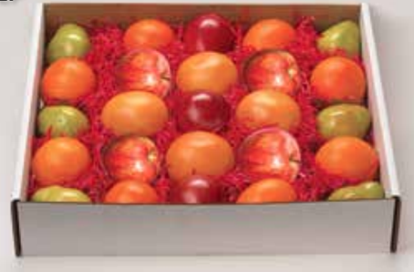 Treasure Chest - Mixed Box LP