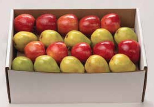 Triple Treat - Mixed Box A