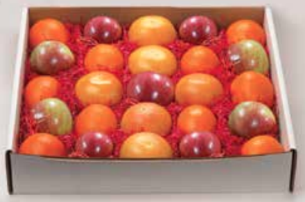 Fruit Lovers Mix - Mixed Box L Fruit Lovers Mix - Mixed Box L