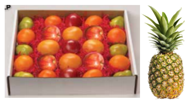 FFA Special FFA Special