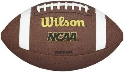 Wilson Unisex NCAA Composite Silver Series Football, Youth, Brown