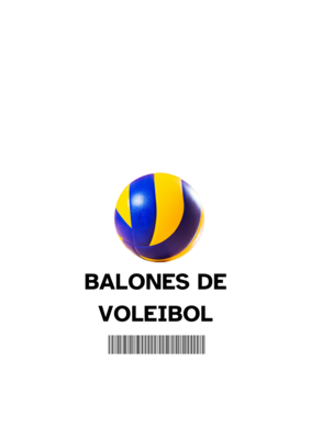 BALONES DE VOLEIBOL