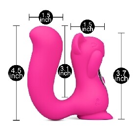 The Sexy Squirrel