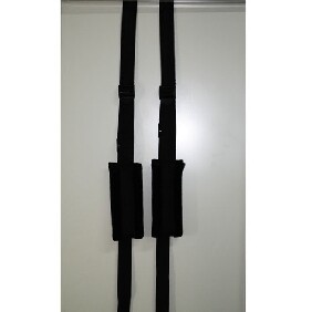 Pleasure Isle Door Swing