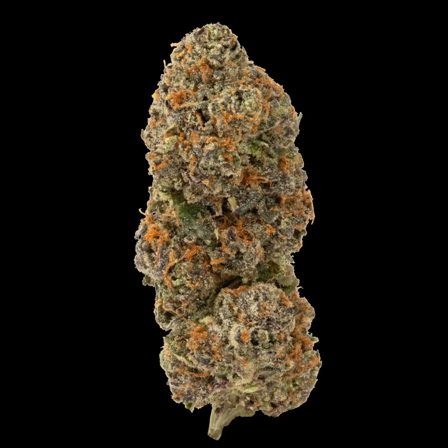 Fried THCA Collection Hybrid Blend “Gelato 41”