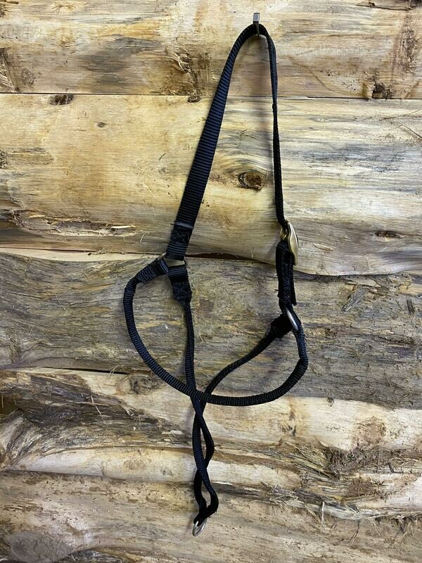 #199b nylon bonnet wire brow