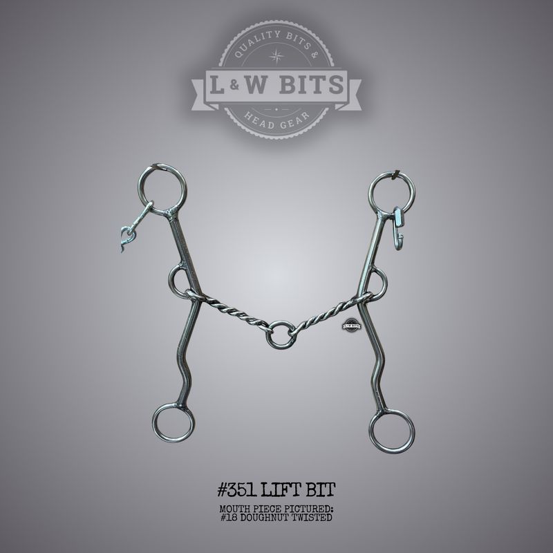 #351 Lift Bit