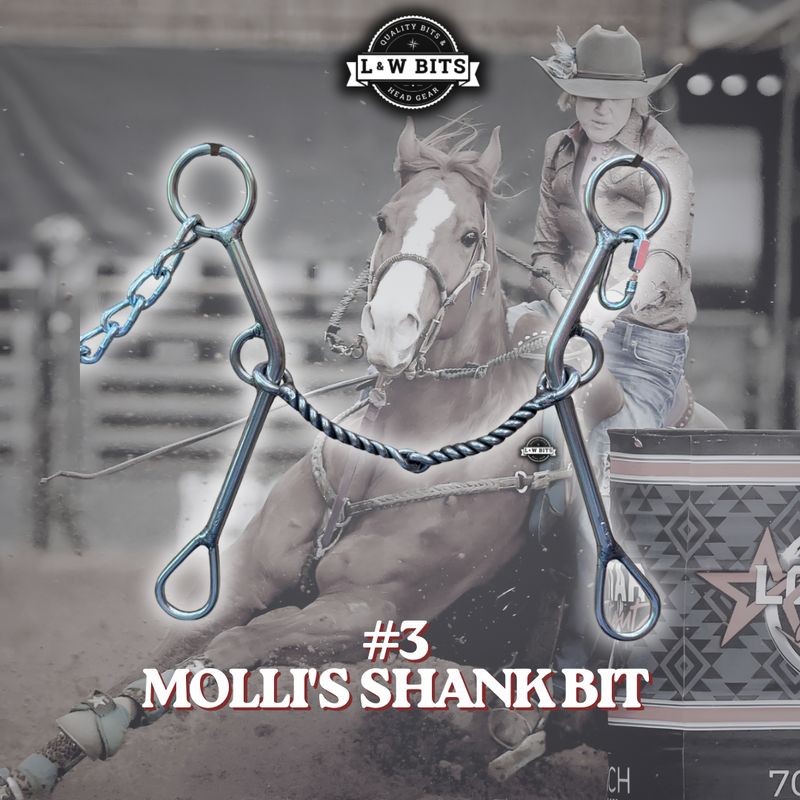 #3 Molli's Shank Bit