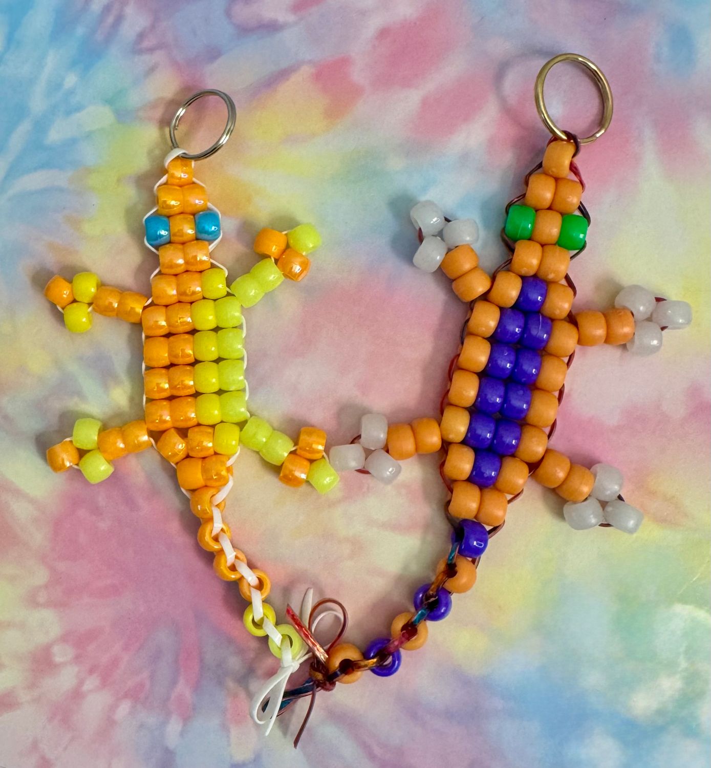 Send-A-Smile Lucky Lizard Duo