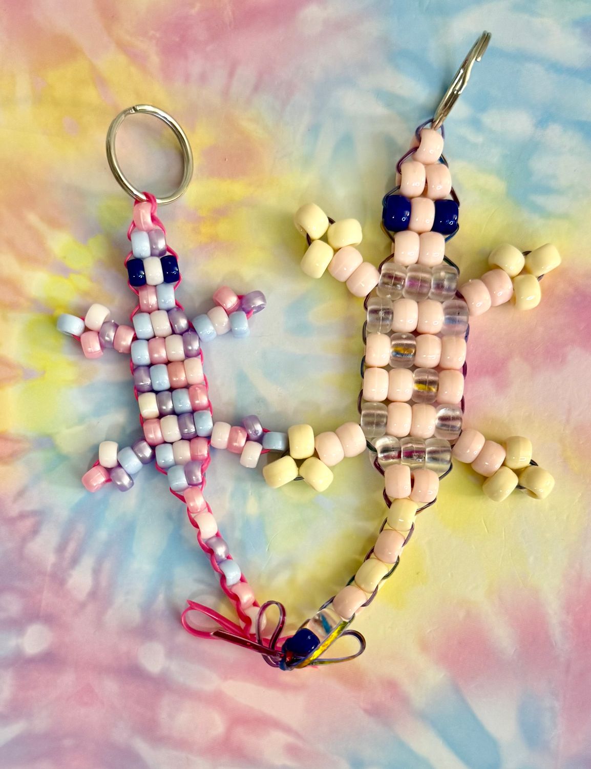 Seminar Superwoman Send-a-Smile Lucky Lizard Duo