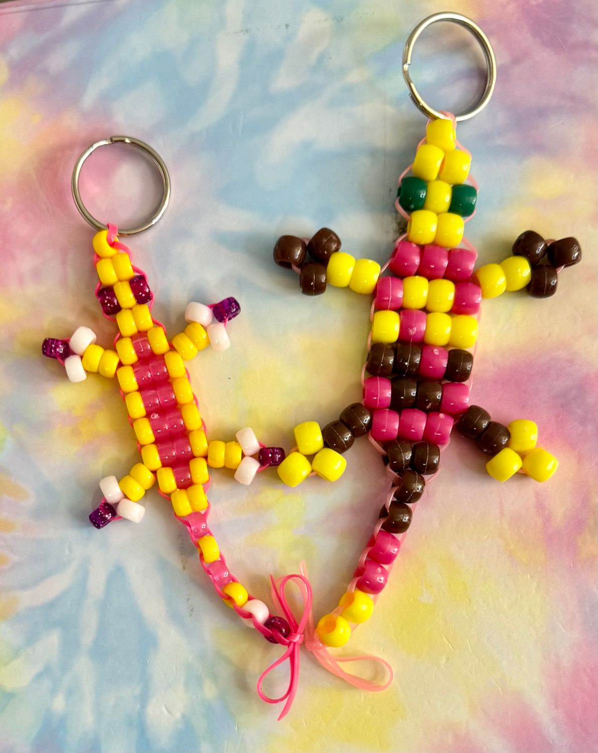 Seminar Superwoman Lucky Lizard Send-a-Smile Duo