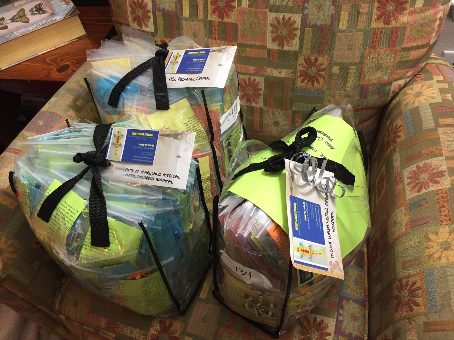 Monthly Lucky Lizard Contribution to Children's Hospitals