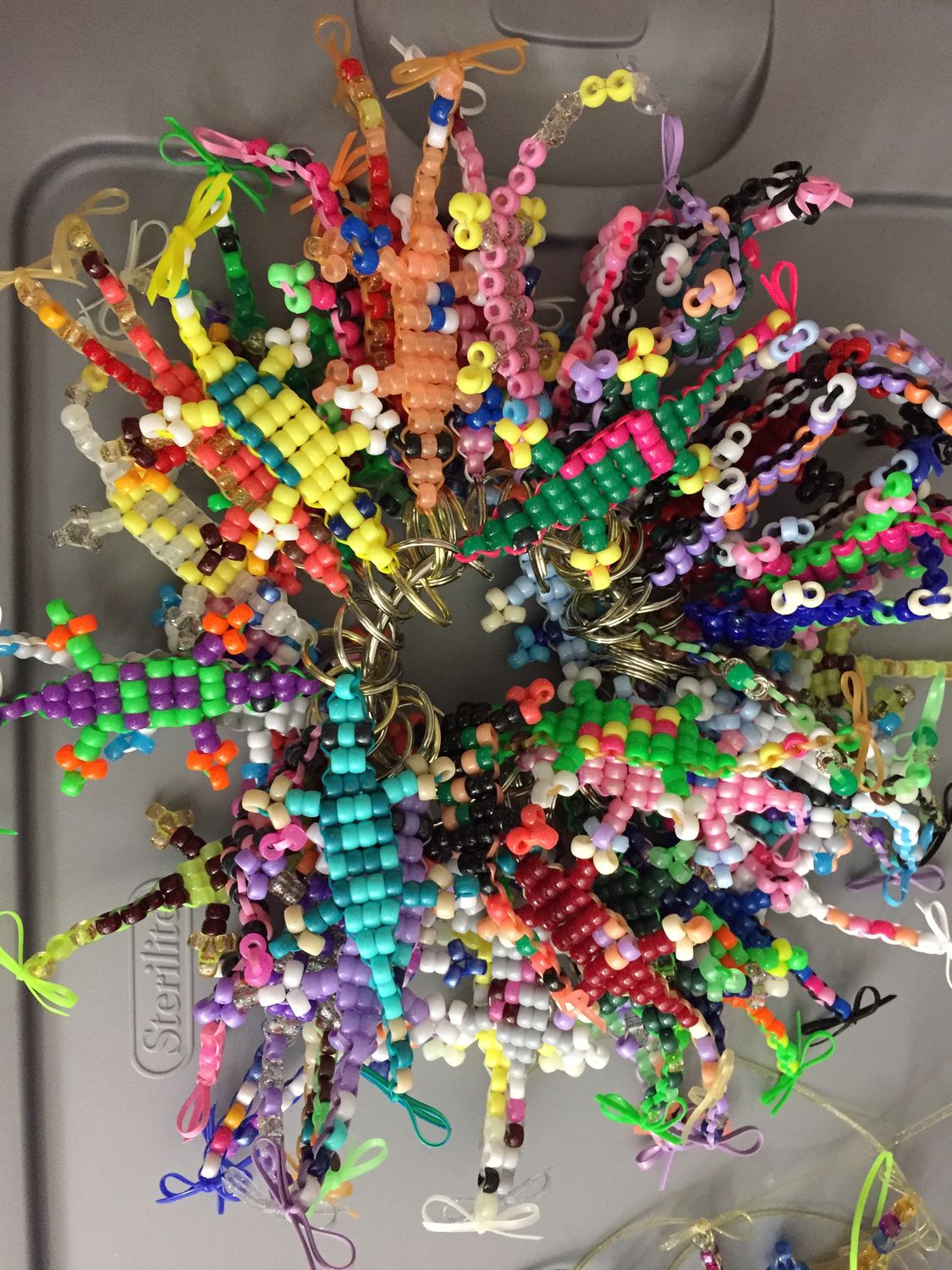Monthly Lucky Lizard Contribution to Children's Hospitals