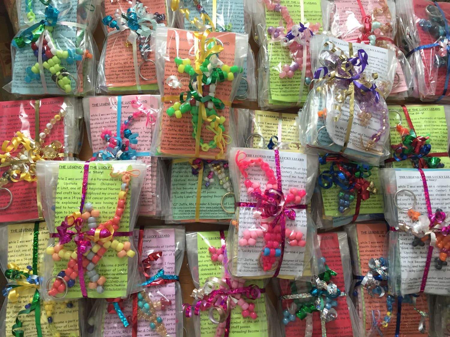 Sponsor Two Lucky Lizards – Donate Hope to a Child