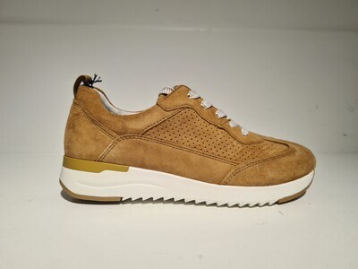 Caprice Sneaker / 23708 Brown