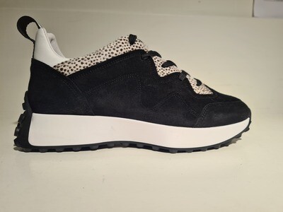 Maruti Sneaker Suede / 66.1642.01 Black Creme