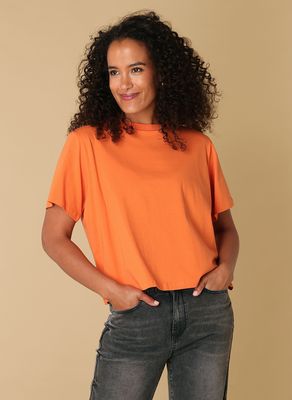 4200647 Mandarin orange
