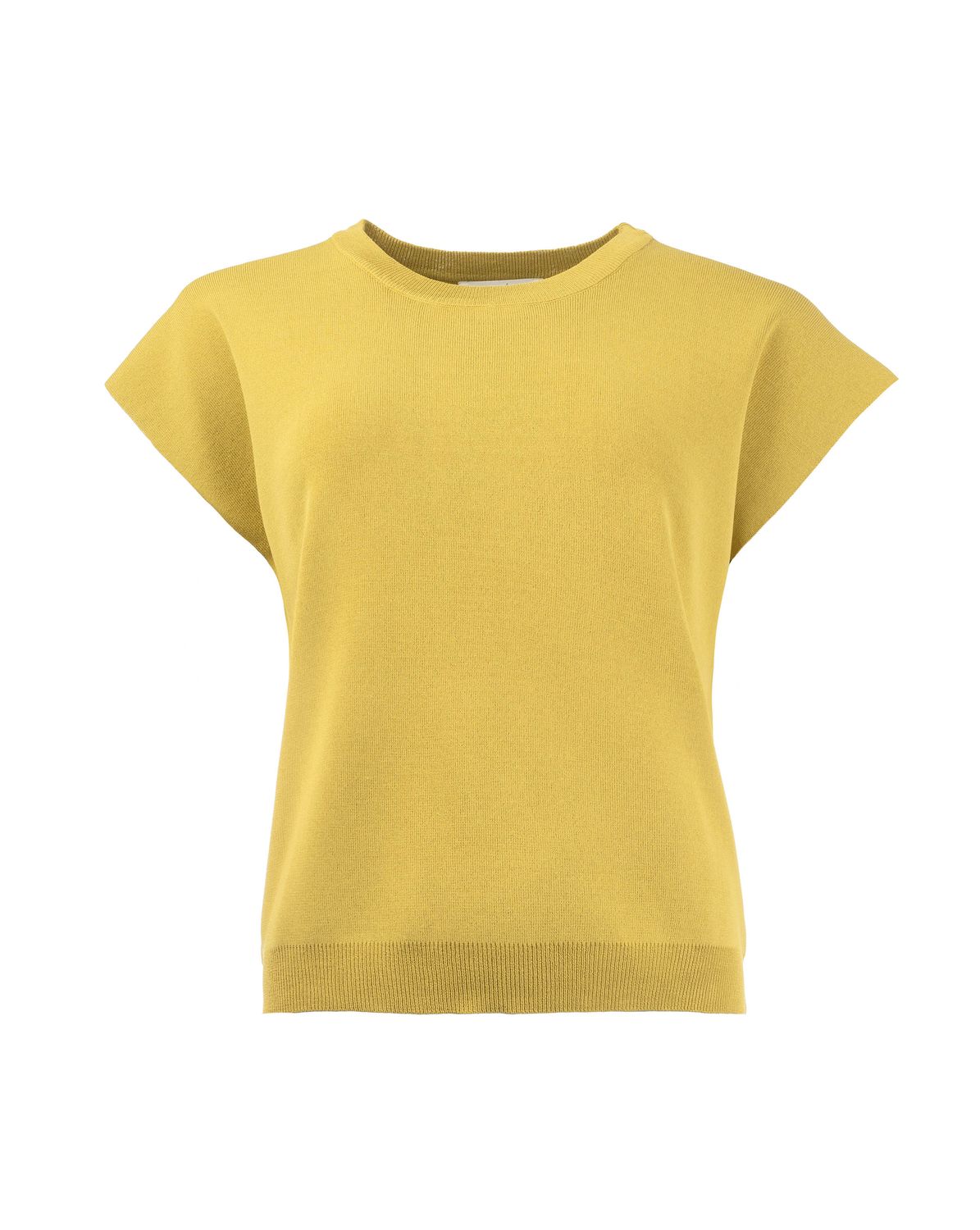 ICNK25W-P452-01 Winter Lime