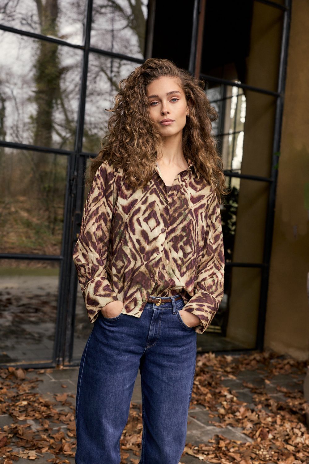 C14-21-301 Print Browns