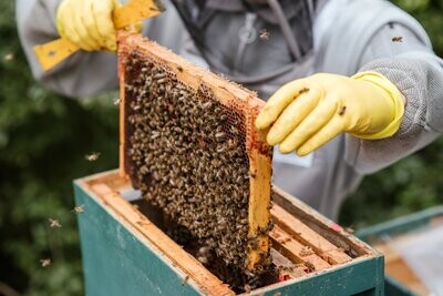 Mud Hollow Farms Honey