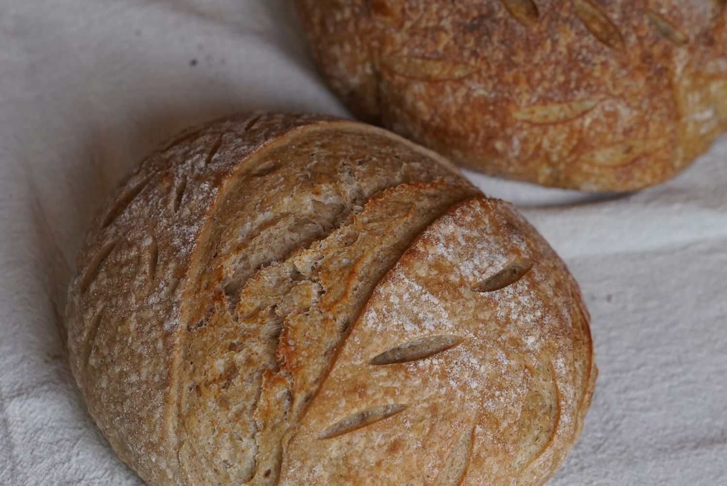 Homemade Sourdough Bread