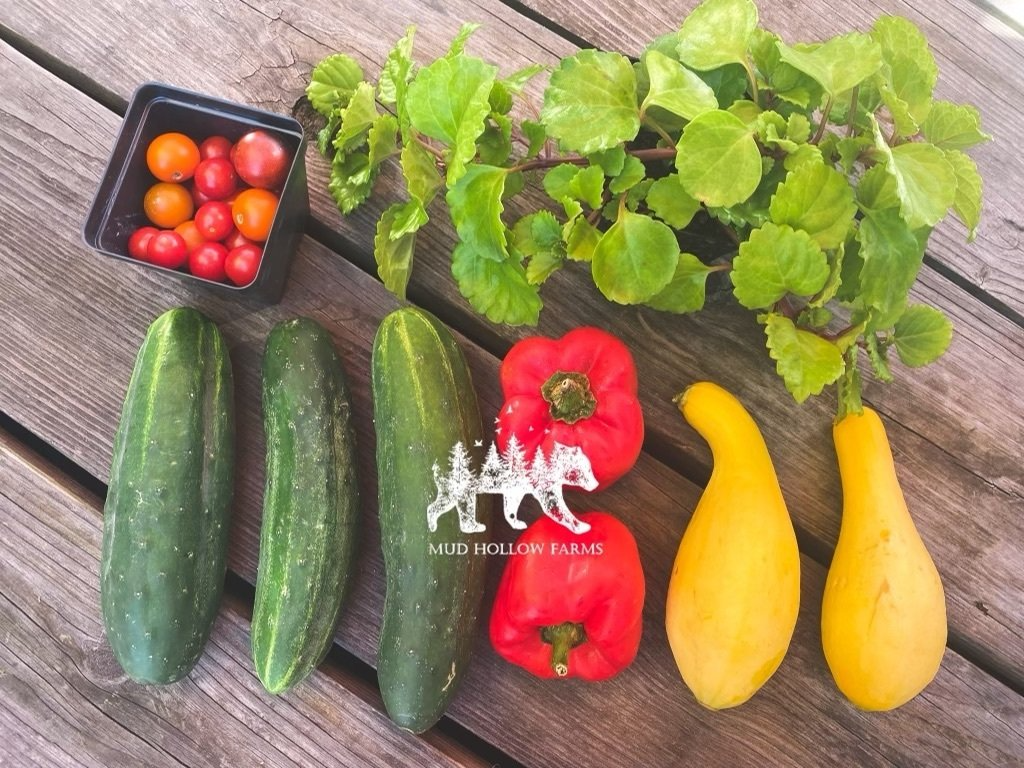 Small Farm Box
